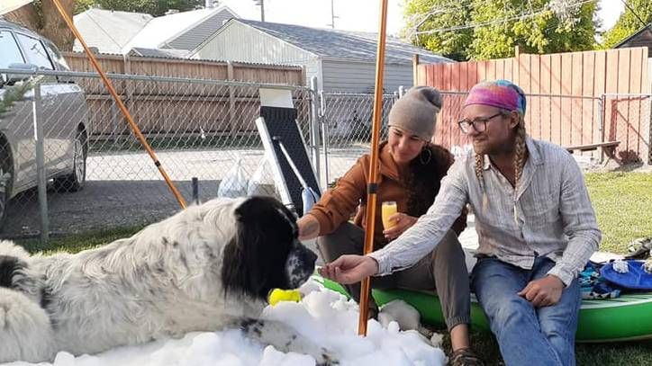 dying dog enjoys snow