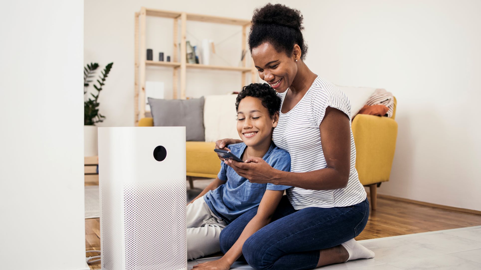 Best Levoit Air Purifiers - Which One To Choose? 