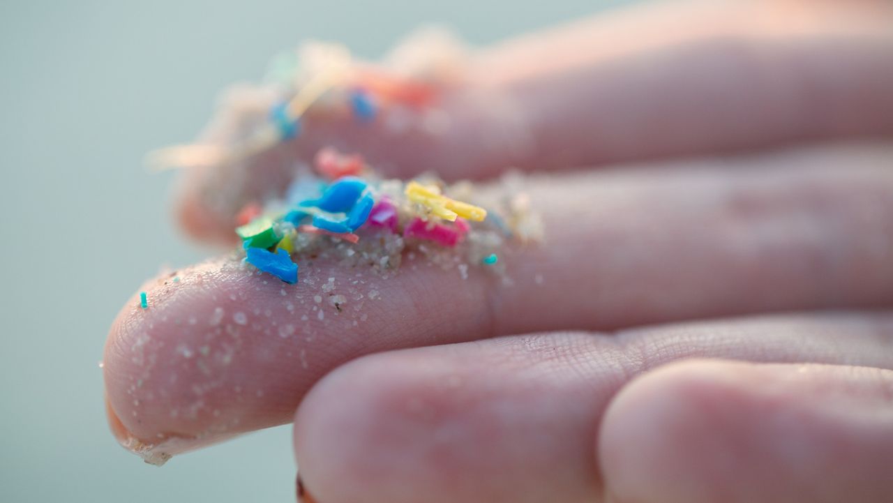 hand holding microplastics