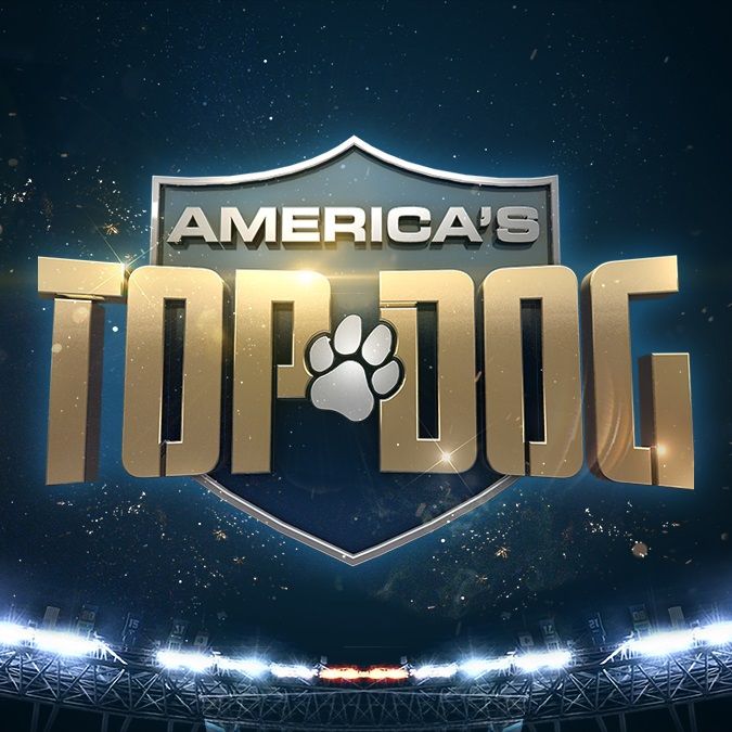 Chewy Collars Sponsorship of A&E’s ‘Top Dog’ Series Next TV