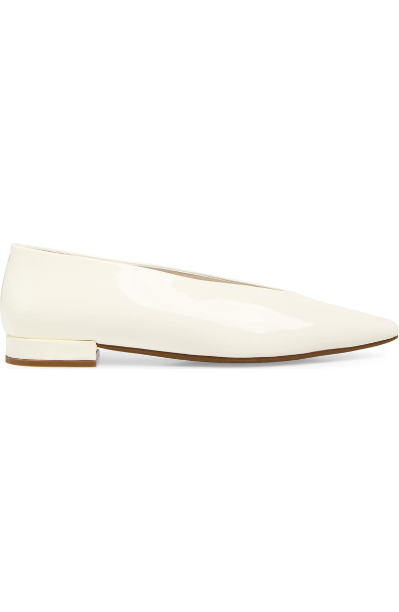 Hinted Pointed Toe Flat