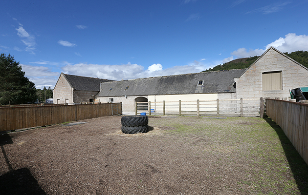 The outdoor yard
