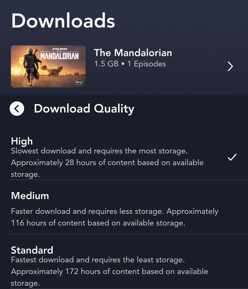 Disney+ high download example
