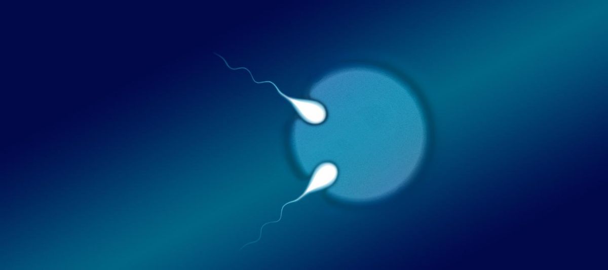 A pair of twins born in 2014 shared all of their mother&#039;s genes, but only 78 percent of their father&#039;s. It all started when two sperm fertilized an egg at the exact same time.