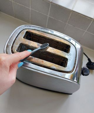 toaster being cleaned with toothbrush and toothpaste