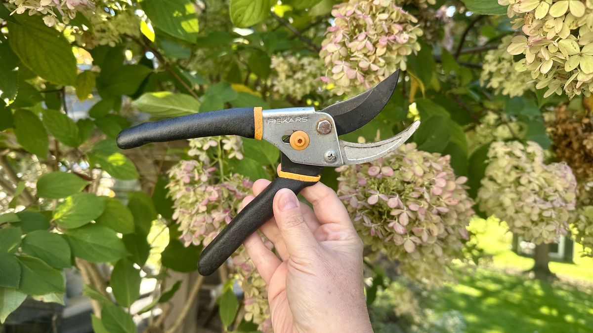I’ve Used These Fiskars Pruners for 5 Years – They’re the Only Pair I Trust With My Precious Hydrangeas