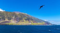 View of Tristan da Cunha from the ocean with Edinburgh of the Seven Seas on the shore. A seabird flies in the image's foreground.