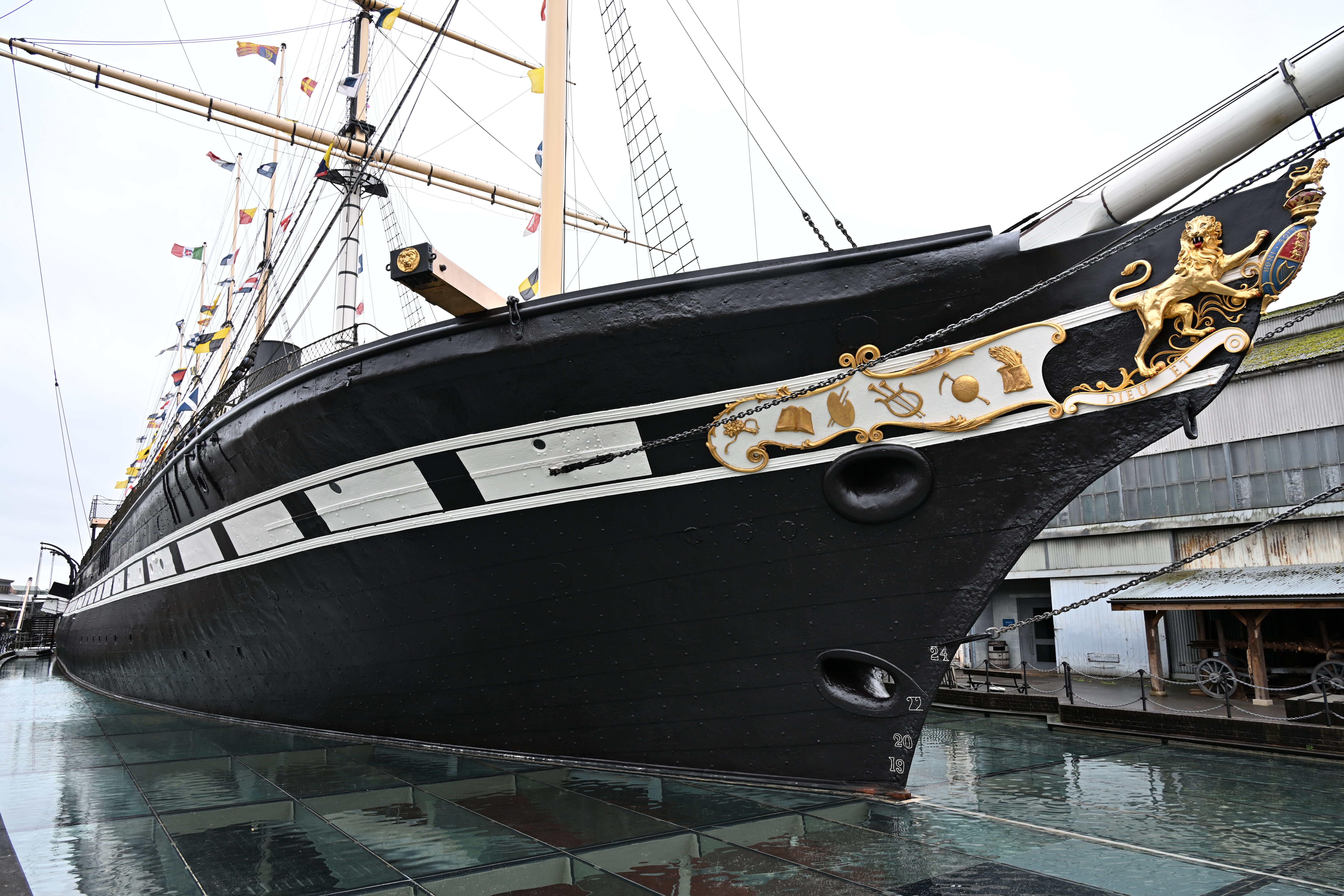 Nikon Z 24-105mm f/4-7.1 sample shot