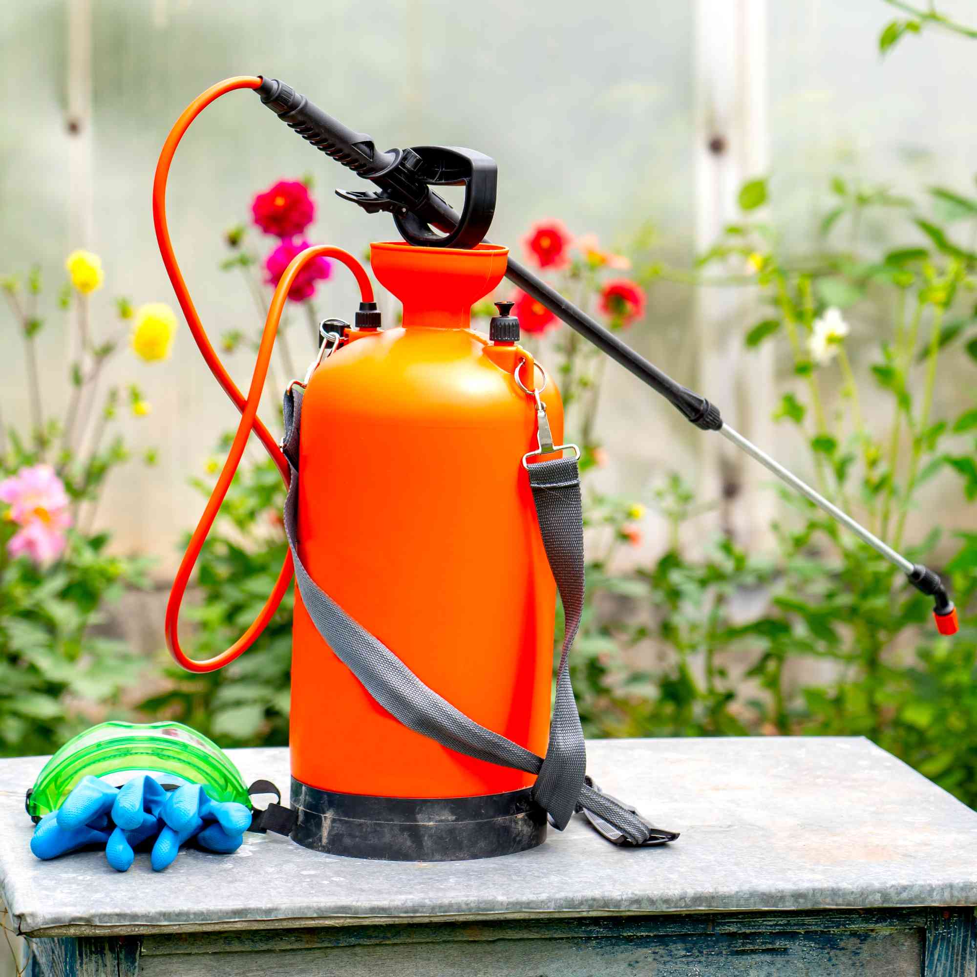 Herbicides in cannister with flowers in back and gloves on table