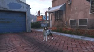 GTA Online Peyote Plant locations - a dog stands on a red brick drive, looking at the camera