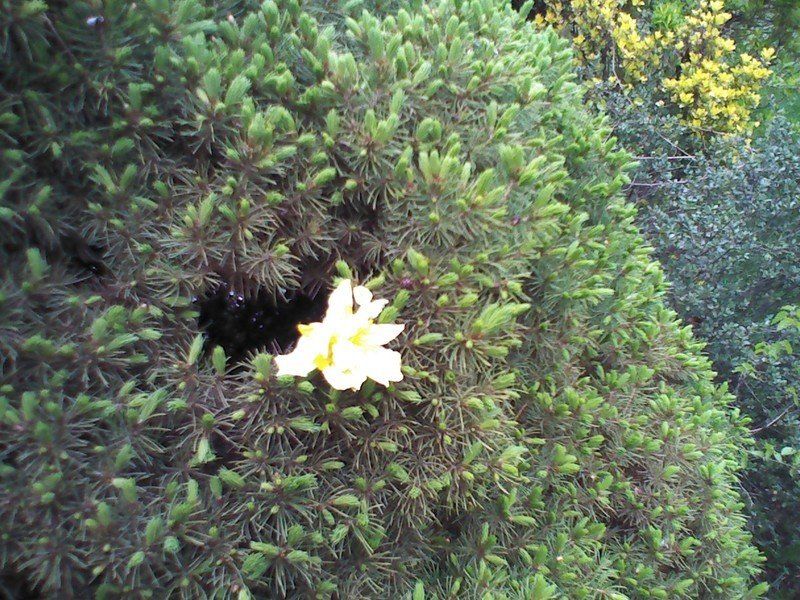 Recon Jet Camera Sample