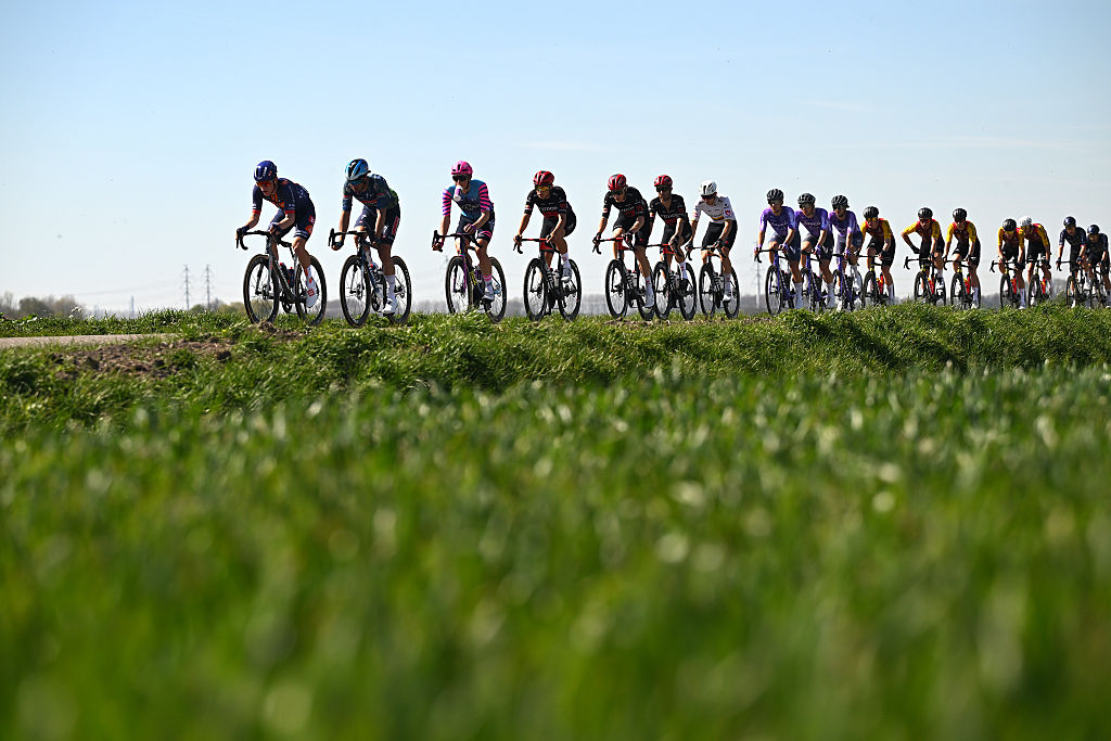 A general view of the peloton during the 114th Scheldeprijs 2026