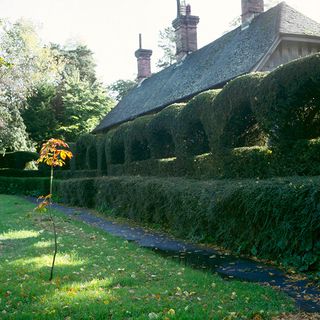 Topiary