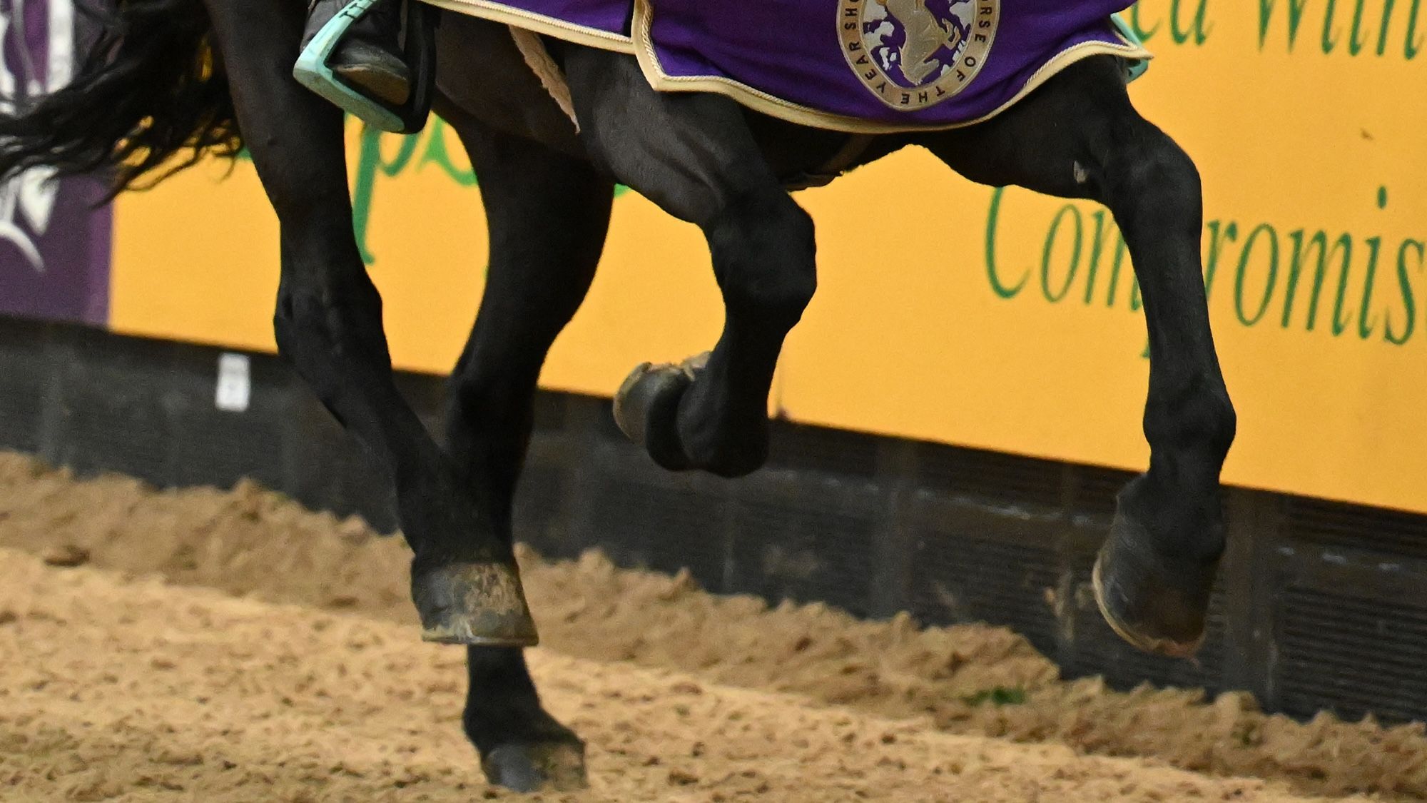 Top riders speak up in debate over changes to 128cm pony showjumping finals