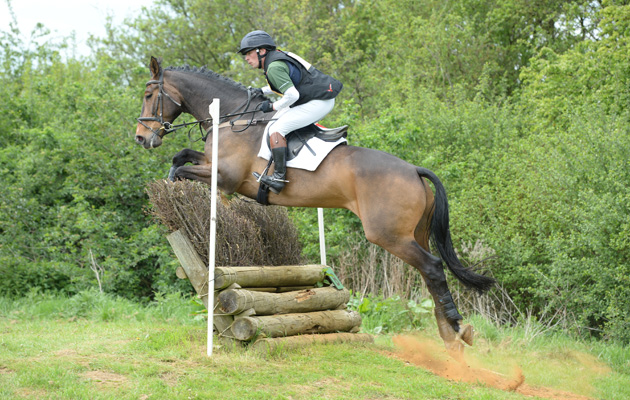 Traveller Royale at Aston-le-Walls