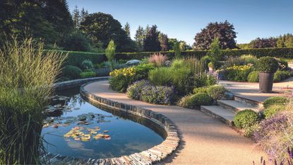 A curcy garden with pond water feature and layers