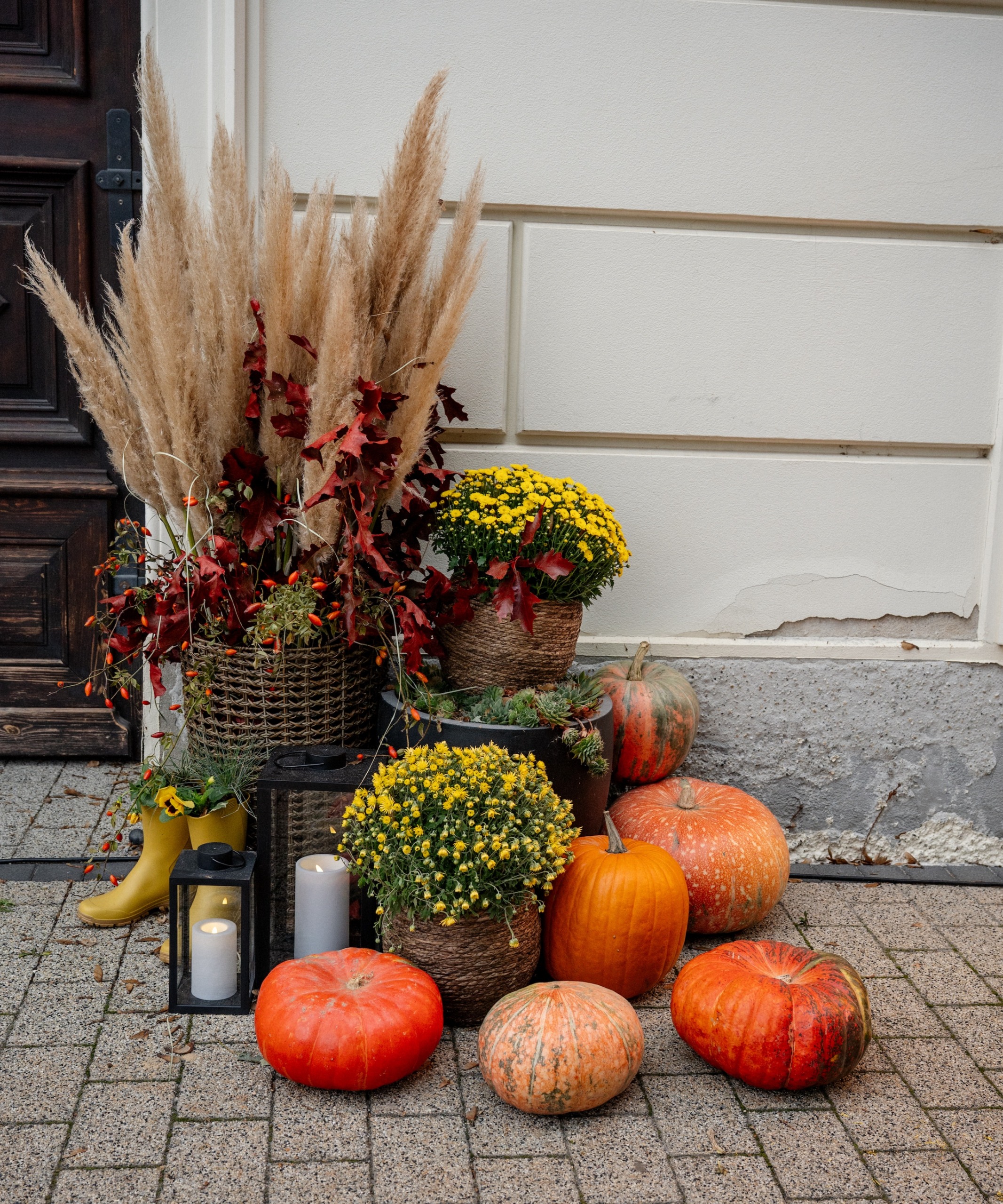 outdoor display with pampas grass, pumkins and chrysanthemums