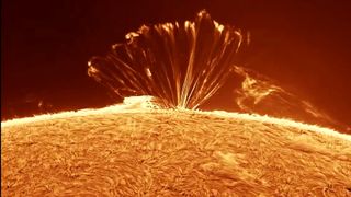 close up view of the sun showing large filament like structure fanning out from the sun and reaching up, with the plasma then falling back to the sun.