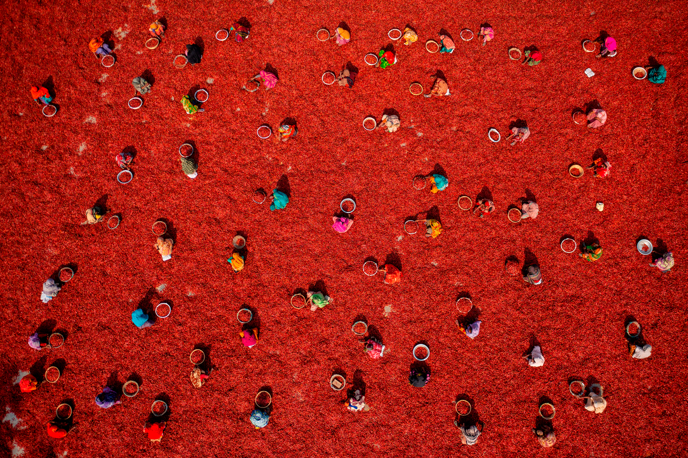Aerial view of bright red field with workers on it, wearing colorful clothing and hats
