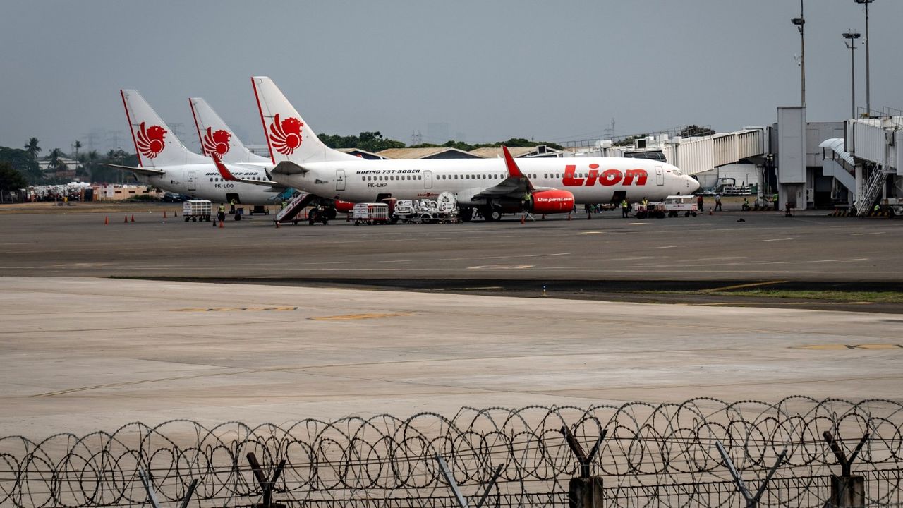 Lion Air aircraft 