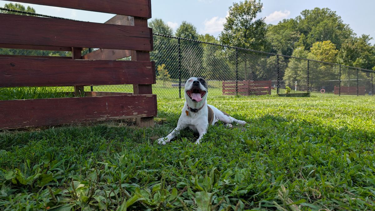 Google Pixel 9 Pro camera samples for review