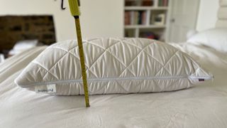 Putnams Height Adjustaable Wool Pillow Height