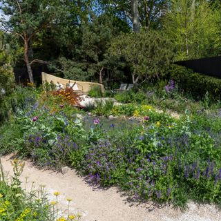 Chelsea Flower Show The Stroke Association Garden