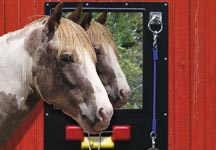 NeighStation31.jpg