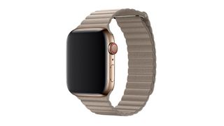 Apple Watch bands: the Apple Loop