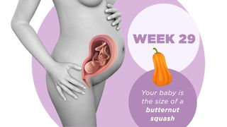 Pregnancy week by week 29