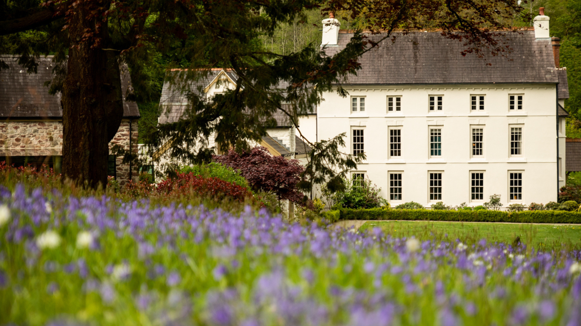 Grove of Narberth: A Luxurious Welsh Countryside Boutique Hotel Experience