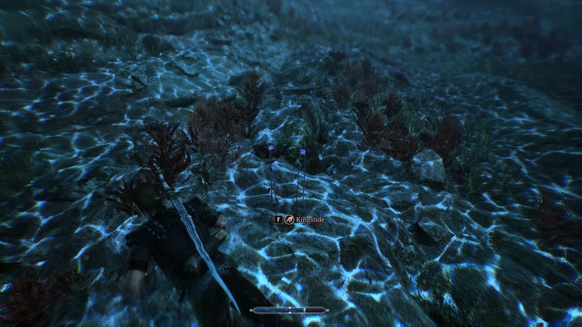 Gothic Remake Scavenger - Diving