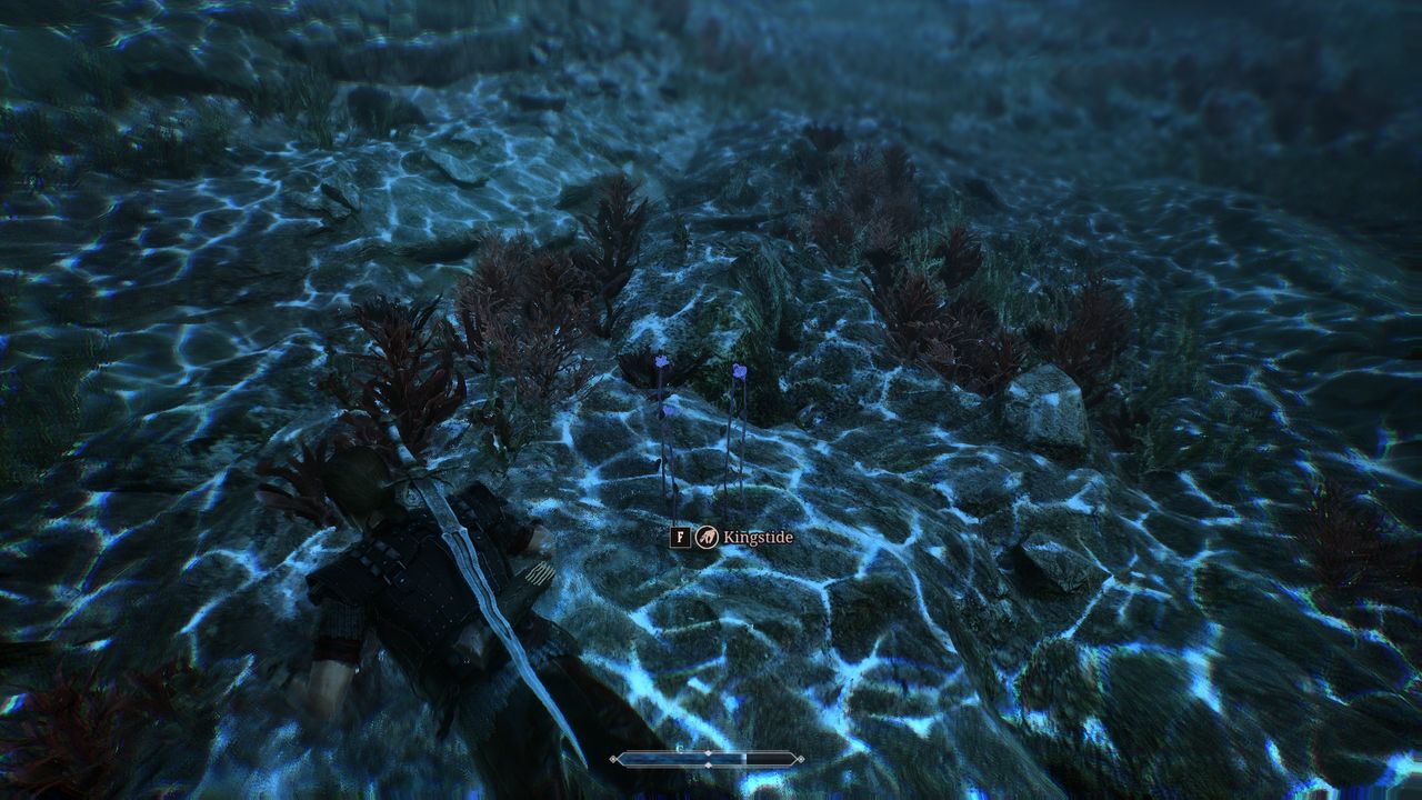 Gothic Remake Scavenger - Diving