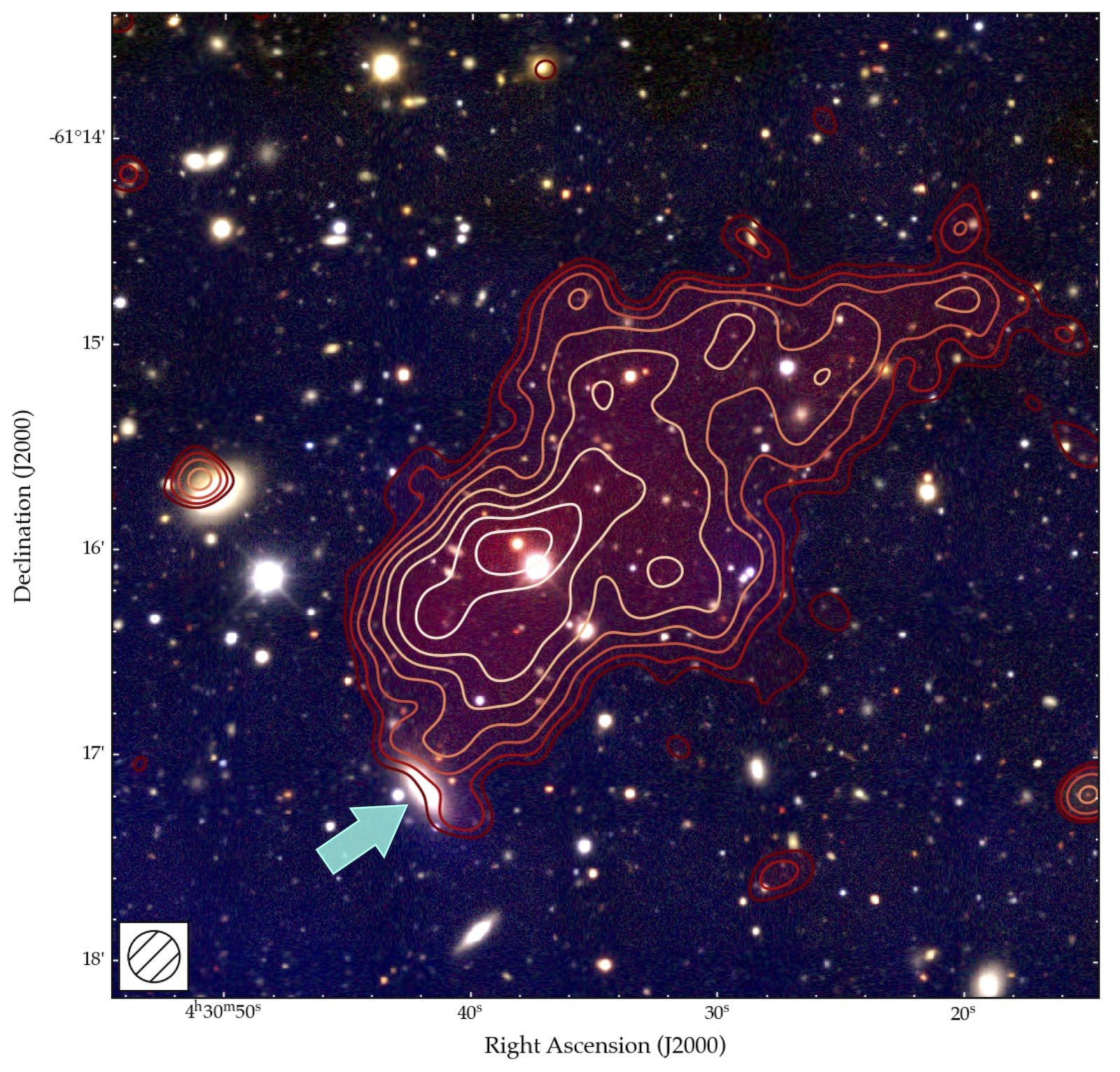 The radio fossil in Abell 3266 is shown here with red colors and contours depicting the radio brightness measured by ASKAP, and blue colors showing the hot plasma. The cyan arrow points to the galaxy we think once powered the fossil