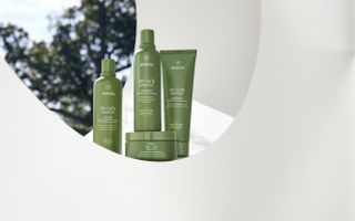 Aveda Be Curly Advanced products.