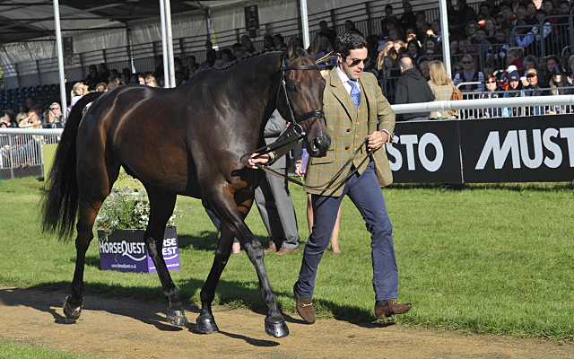 Ben Way riding GALLEY LIGHT during the final vet check during The Land Rover Burghley Horse Trials near Stamford in Lincolnshire UK on 3rd September 2016