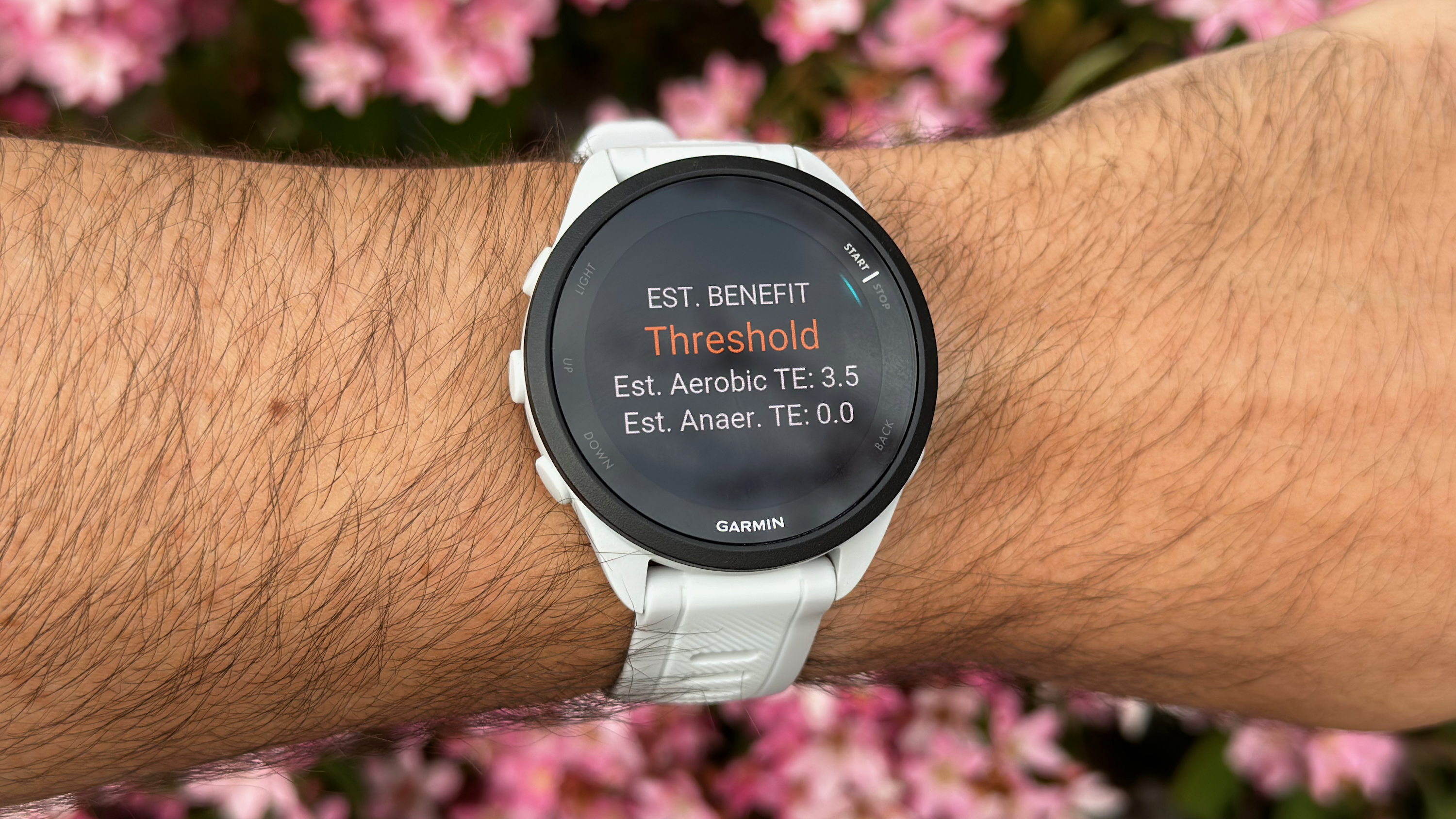 The estimated workout benefit for a daily suggested workout on the Garmin Forerunner 165.