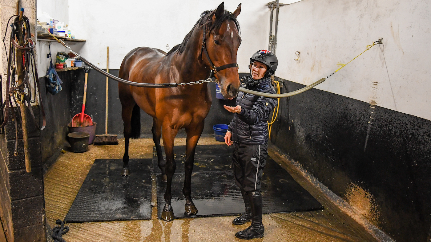 Laura Collett washing down a bay thoroughbred