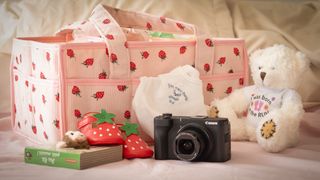 I'm a new dad &ndash;&nbsp;and this compact camera is the perfect everyday "dad cam"