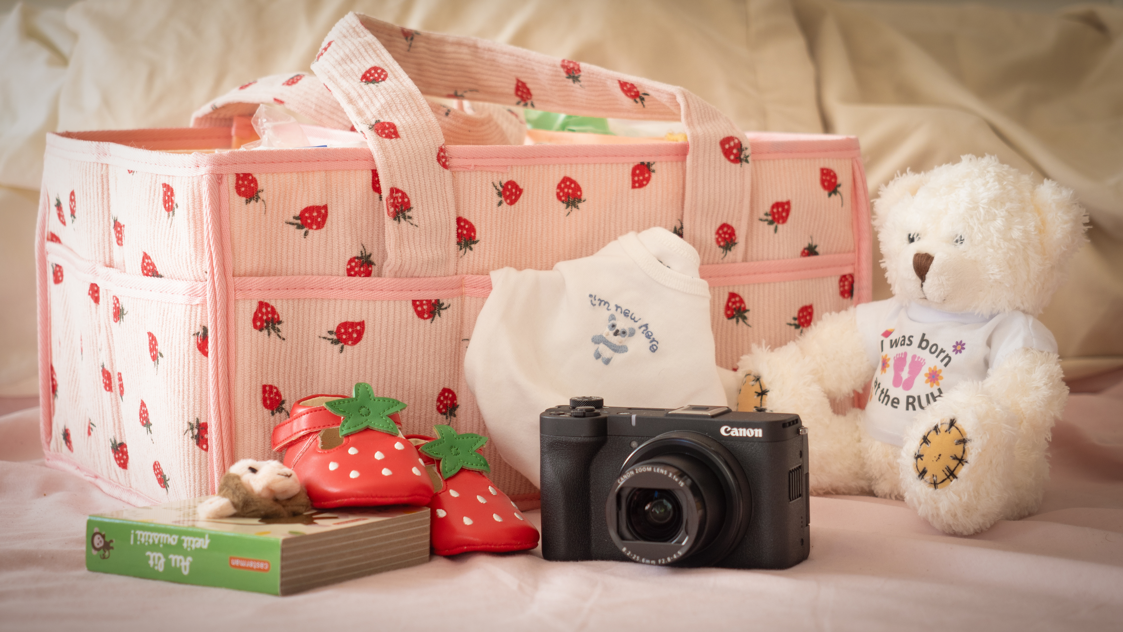 Canon PowerShot V1 in front of a baby changing hamper