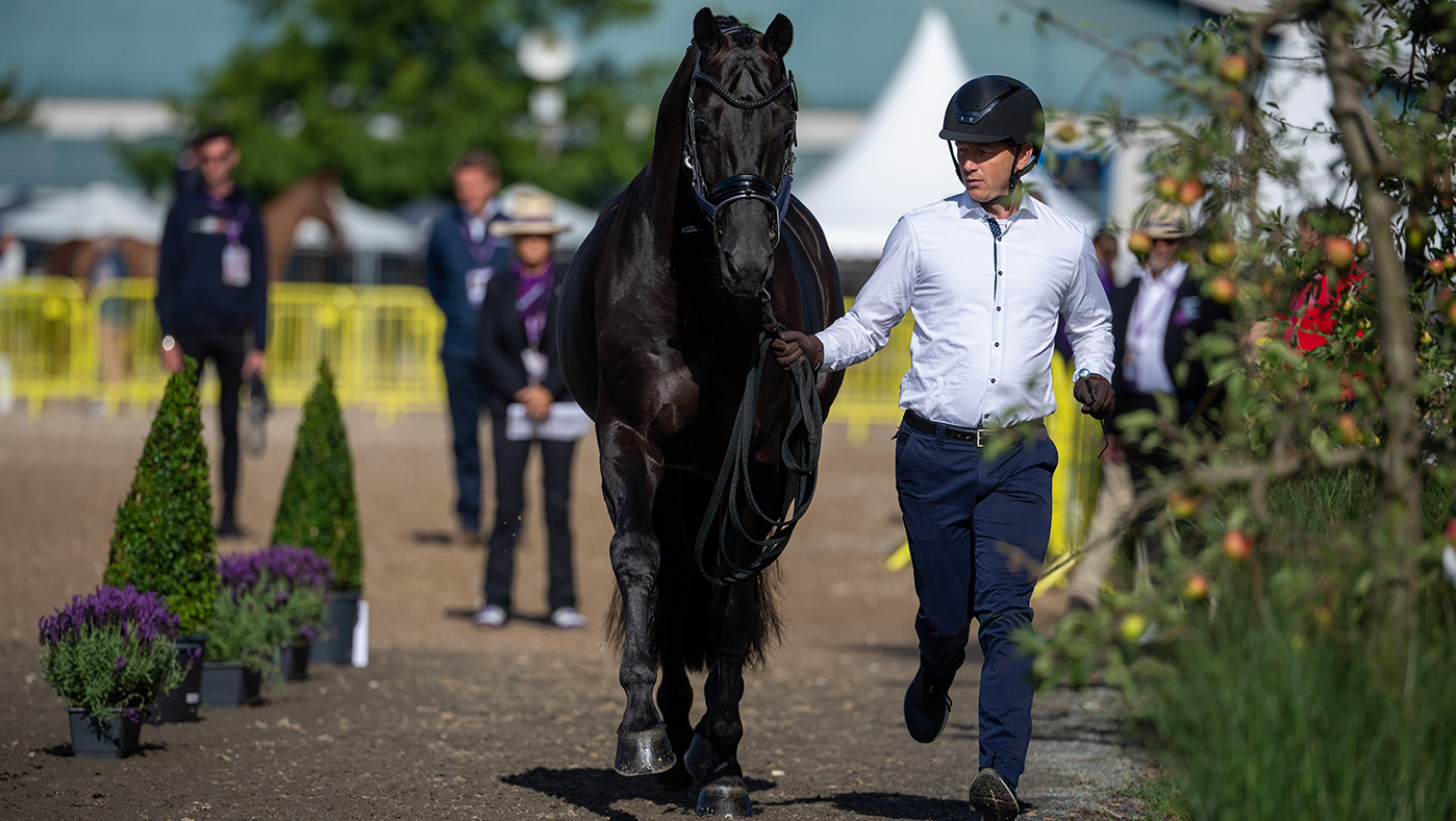Niek Haarlink presents Glamourdale, the ride of Lottie Fry, at the World Dressage Championships trot-up.