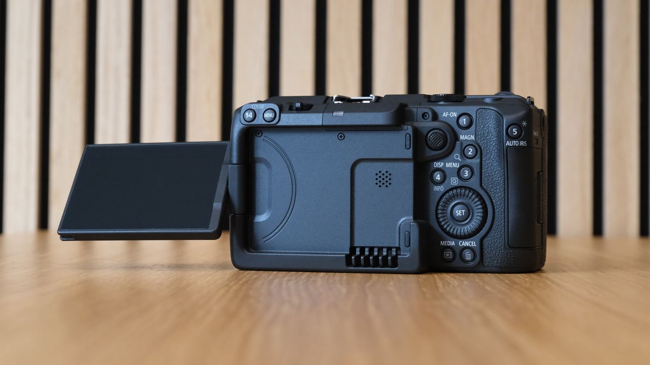 Canon EOS C50 against a striped wooden background