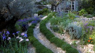 gravel paths and lavender in a mediterranean garden style