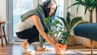 Top 10 ways to improve air quality at home