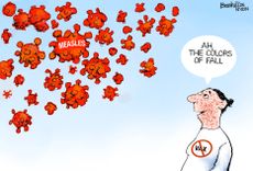 Political Cartoon