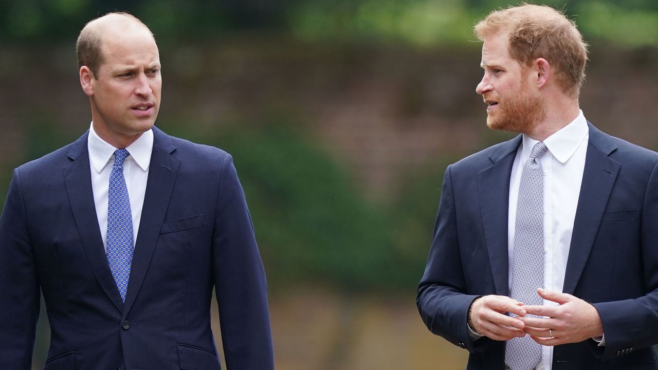 Prince William and Prince Harry