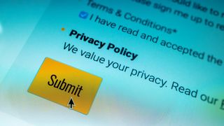 Close-up of privacy policy submit button