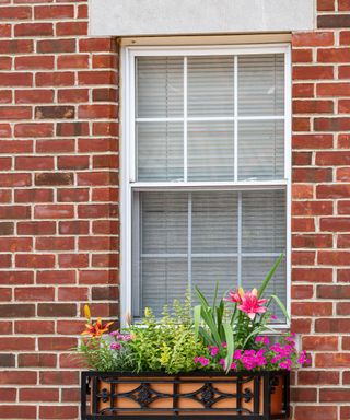 red brick house with white window and colorful flowers in window box