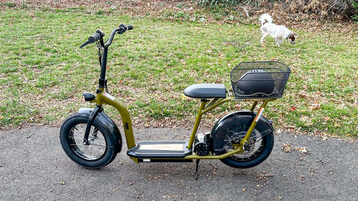 Razor EcoSmart Cargo review: An electric scooter built for two | Tom's ...