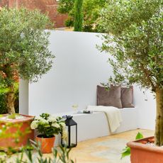 Mediterranean style garden